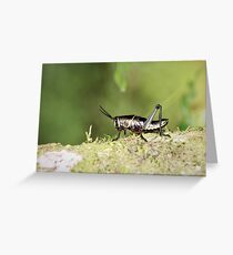 Hopper Greeting Card