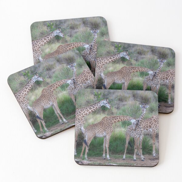 Item preview, Four Giraffes in the Masai Mara Kenya designed and sold by PhotoArt by Joan Carroll.