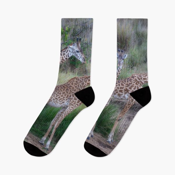 Item preview, Four Giraffes in the Masai Mara Kenya designed and sold by PhotoArt by Joan Carroll.