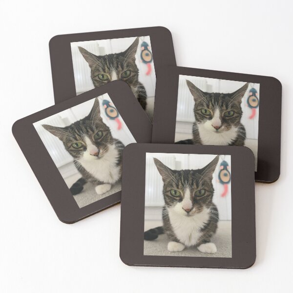 Artikelvorschau, Toffee starrt in deine Seele entworfen und verkauft von BooksMyCatsStol.