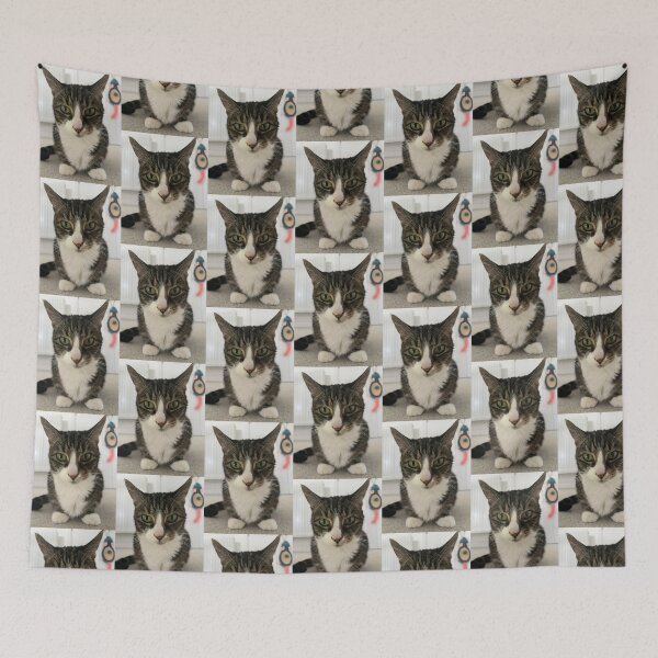 Item preview, Toffee Staring Into Your Soul designed and sold by BooksMyCatsStol.
