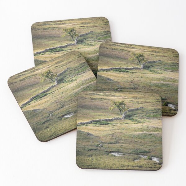 Item preview, Lone Tree at Blea Tarn designed and sold by RedGrouse.
