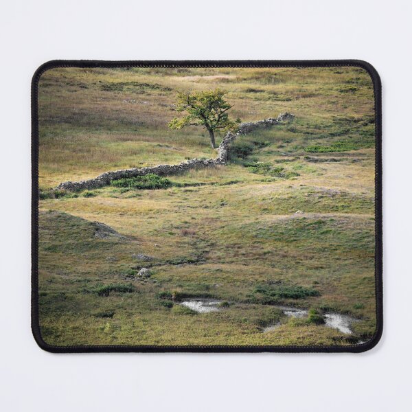 Item preview, Lone Tree at Blea Tarn designed and sold by RedGrouse.