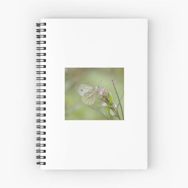 Aperçu de l'œuvre "Meadow White" créée et vendue par Richard Couchman.