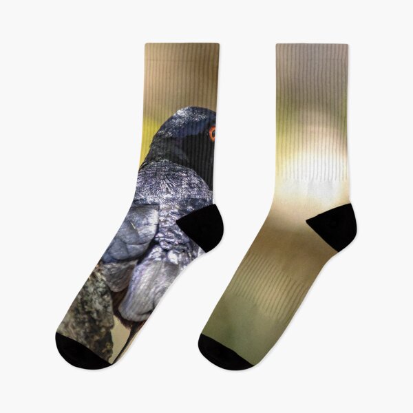 Item preview, Shiny Black Bird Tanzania Serengeti Wildlife Photography designed and sold by Amanda's Factory.