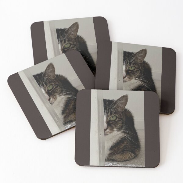 Artikelvorschau, Toffee Albumcover entworfen und verkauft von BooksMyCatsStol.