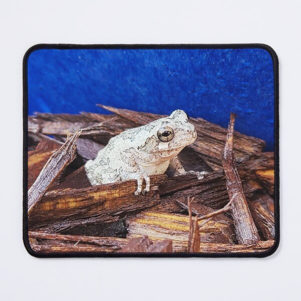 Item preview, Grey Tree Frog designed and sold by barndominiumgirl.