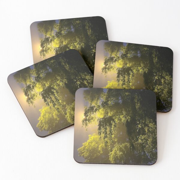 Item preview, Shadows from a tree in Sapa, Vietnam designed and sold by Nikandcraft.