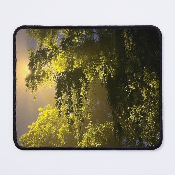 Item preview, Shadows from a tree in Sapa, Vietnam designed and sold by Nikandcraft.