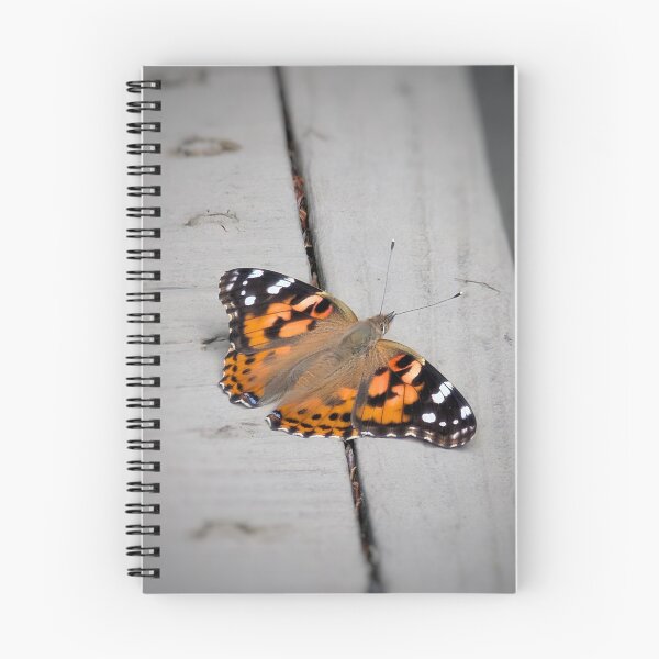 Item preview, Painted Lady II designed and sold by Emily Noyes.
