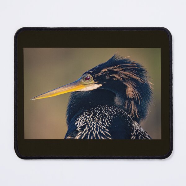 Item preview, Anhinga Eyes  designed and sold by Shannon Emmel .