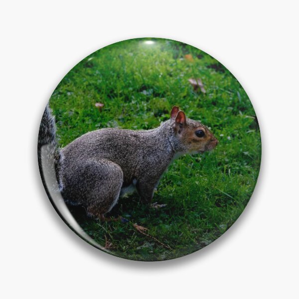 Item preview, Squirrel Sighted designed and sold by Andymat99.