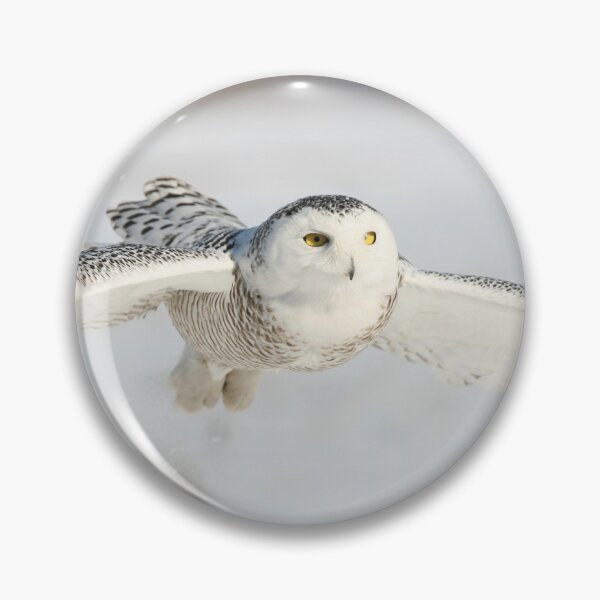 Item preview, Silent Hunter designed and sold by purelightimages.