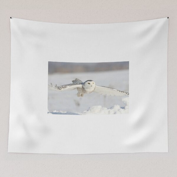 Item preview, Silent Hunter designed and sold by purelightimages.