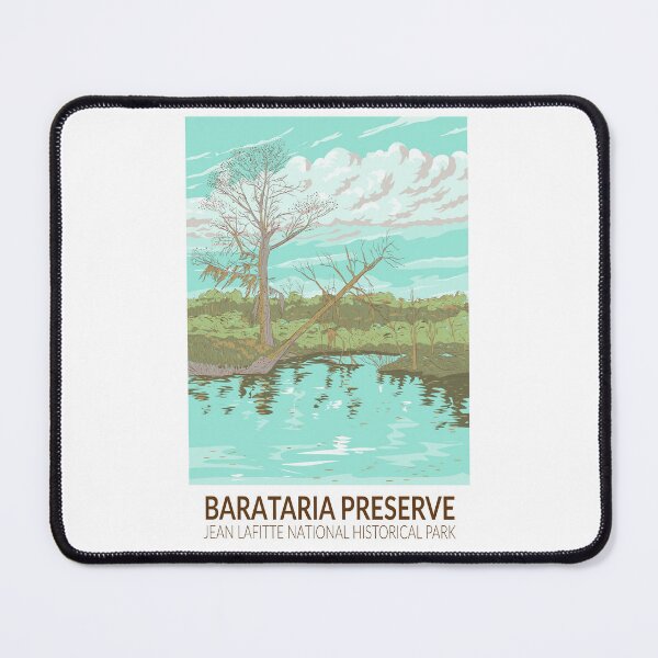 Item preview, Barataria Preserve Louisiana Illustration Travel Art Vintage designed and sold by KrisSidDesigns.
