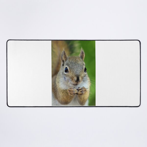 Item preview, Squirrel's lunch time designed and sold by purelightimages.
