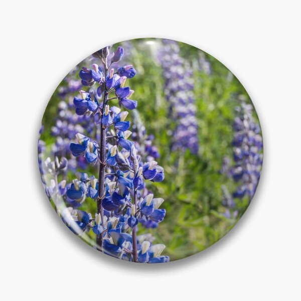 Item preview, Tall Beautiful Lupines designed and sold by Debra Martz.