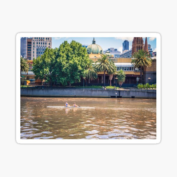 Rowing On The Yarra River Sticker