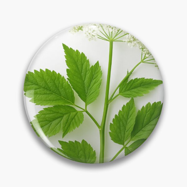 Item preview, Ground elder with blossom designed and sold by Sanu23.