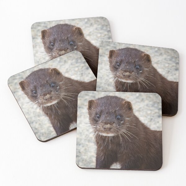 Item preview, American Mink  designed and sold by Shannon Emmel .