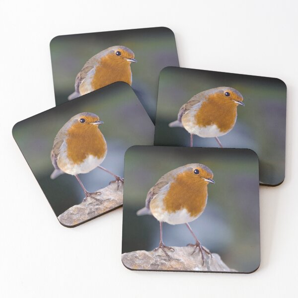 Item preview, Robin Redbreast designed and sold by Tom McPherson Photography.