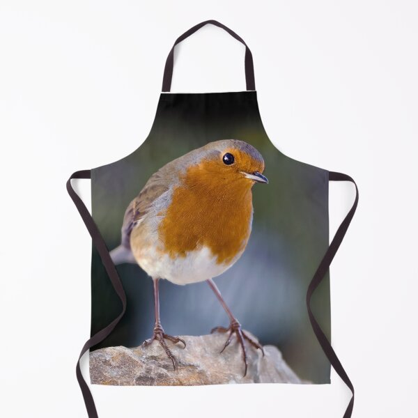 Item preview, Robin Redbreast designed and sold by Tom McPherson Photography.