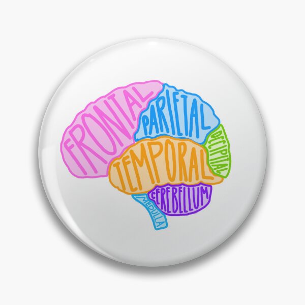Item preview, Labeled Brain designed and sold by Jilliansshop.