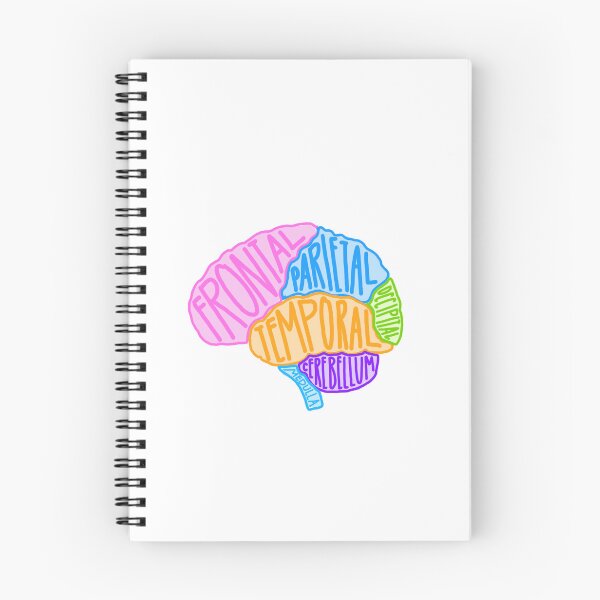 Item preview, Labeled Brain designed and sold by Jilliansshop.
