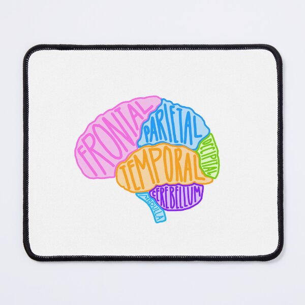 Item preview, Labeled Brain designed and sold by Jilliansshop.