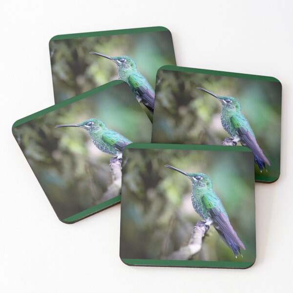 Item preview, Green-crowned Brilliant Hummingbird Napping  designed and sold by Shannon Emmel .