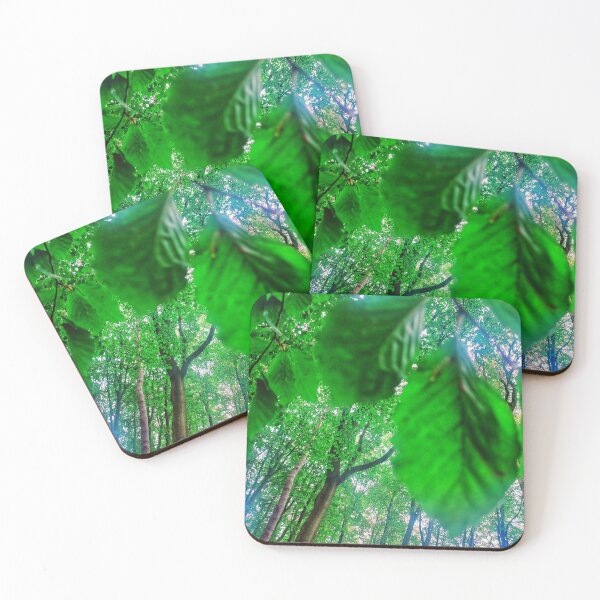 Item preview, Beech Trees in Woodland designed and sold by dawnsm.