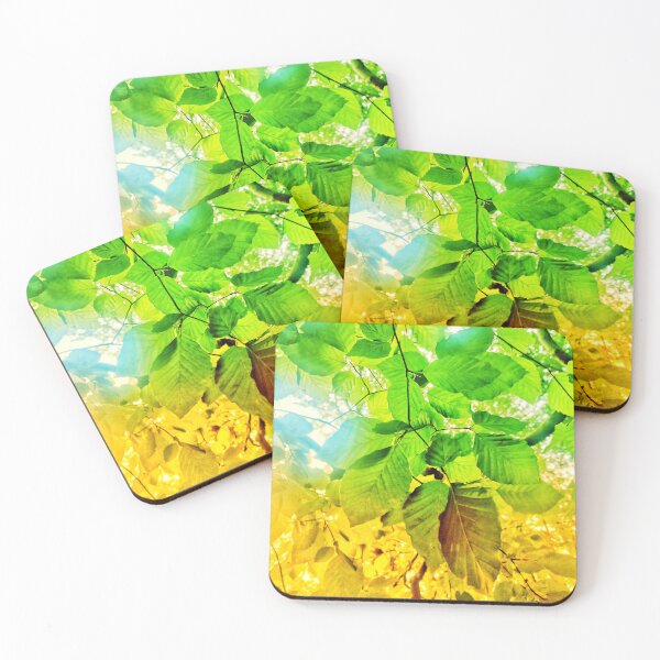 Item preview, Beech Trees designed and sold by dawnsm.
