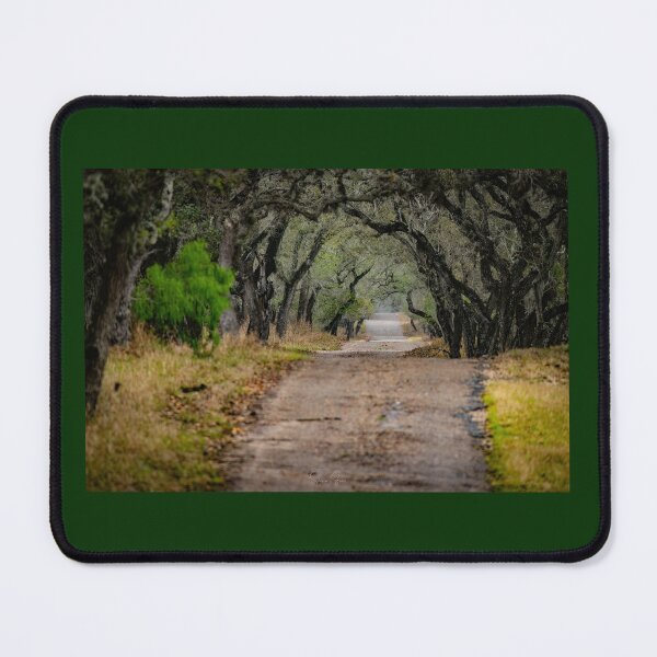 Item preview, Path of Oaks designed and sold by Shannon Emmel .