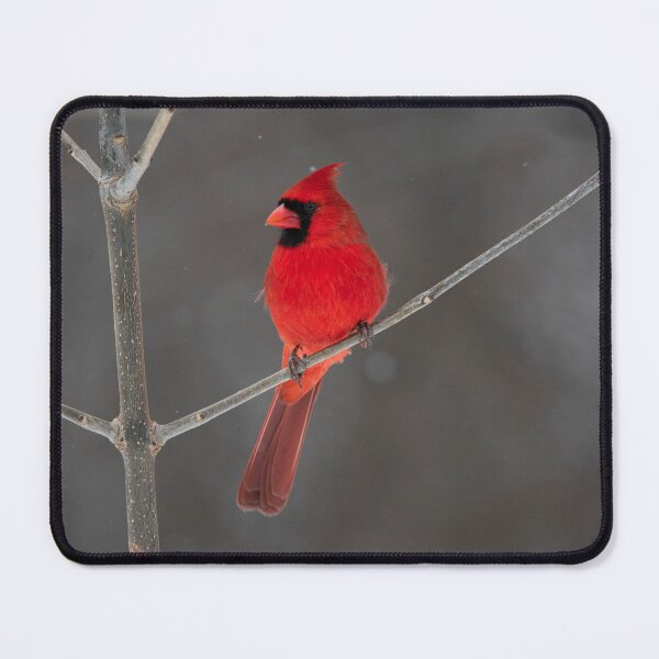 Item preview, Charming bird designed and sold by mymypare13.