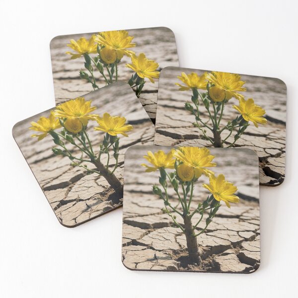 Item preview, Resilient Yellow Flowers in Cracked Earth designed and sold by KilianSzmid.