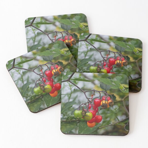 Artikelvorschau, Kirschtomaten, essfertig entworfen und verkauft von Del Phoenix Photography.