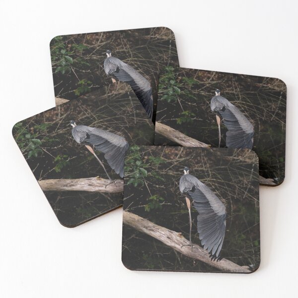 Item preview, Garza azul grande mostrando sus alas designed and sold by Del Phoenix Photography.