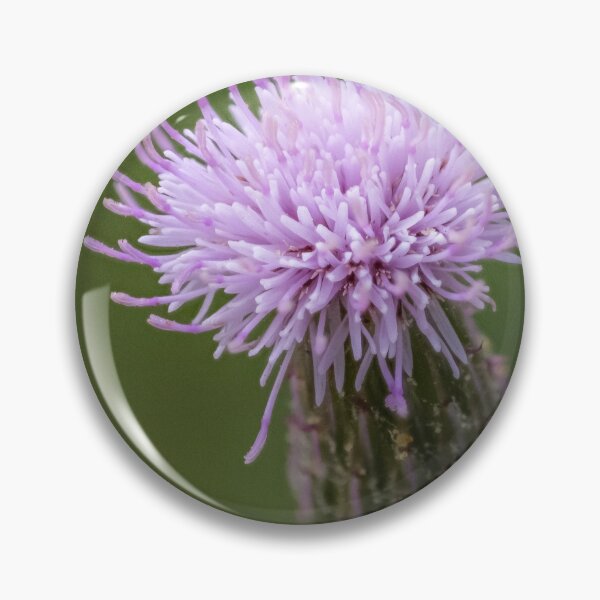 Item preview, Milk Thistle designed and sold by Del Phoenix Photography.