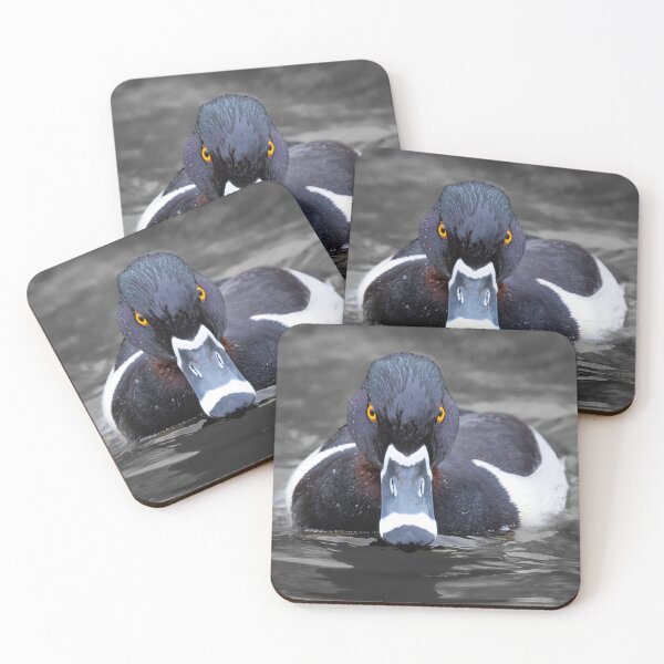 Item preview, Ring-necked Duck with Attitude designed and sold by Shannon Emmel .