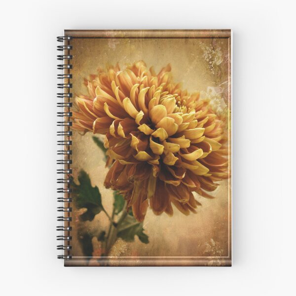 Item preview, Vintage Chrysanthemum designed and sold by Jessica Jenney.