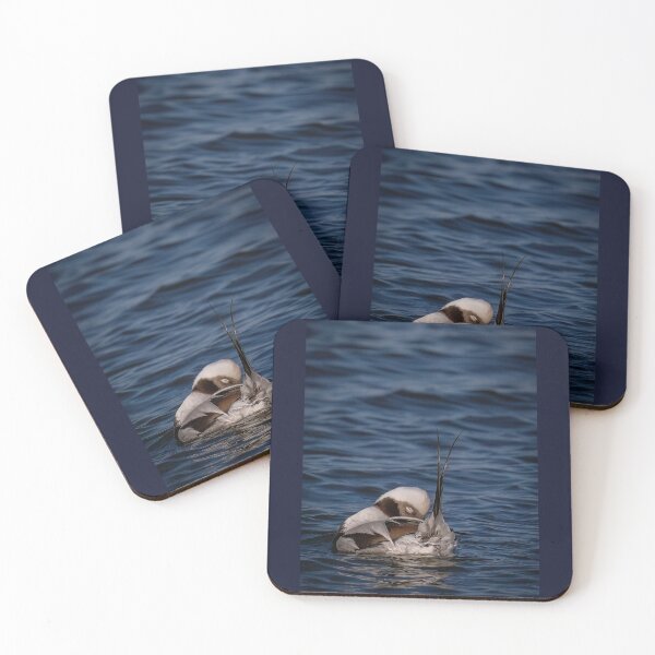 Item preview, Long-tailed Duck Preening  designed and sold by Shannon Emmel .
