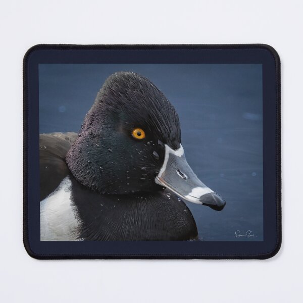 Item preview, Ring-necked Duck Headshot designed and sold by Shannon Emmel .