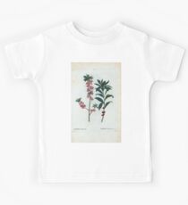 Traité des Arbres et Arbustes 0135 Daphne Mezereum Daphné Mezereum Daphne spurge laurel February daphne Kids Tee