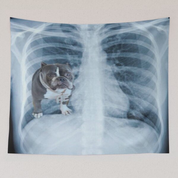 Item preview, Half human Half dog designed and sold by Trendymemeshop1.