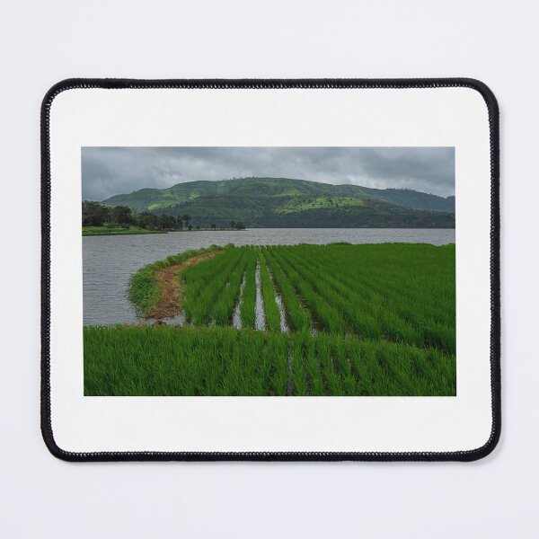 Item preview, _SSK6970 Ample Of Our Requirement designed and sold by Sunil Kapadia.