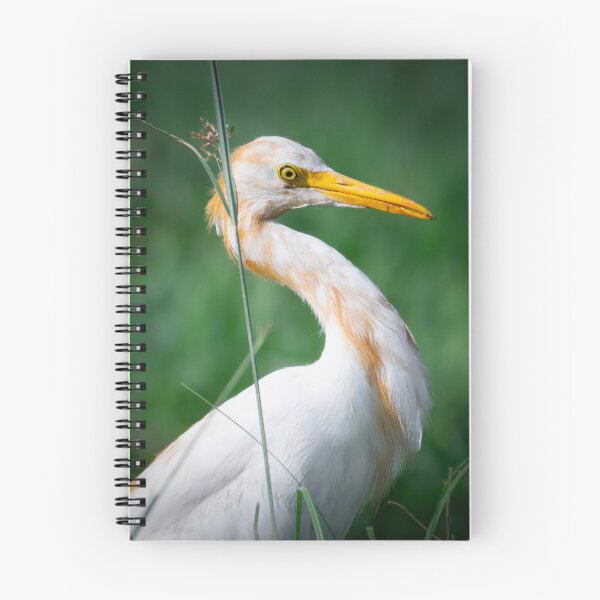 Item preview, White Heron in Grass, Elegant Wildlife and Nature Photography designed and sold by Shaheer-WallArt.
