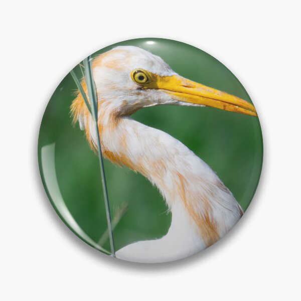 Item preview, White Heron in Grass, Elegant Wildlife and Nature Photography designed and sold by Shaheer-WallArt.