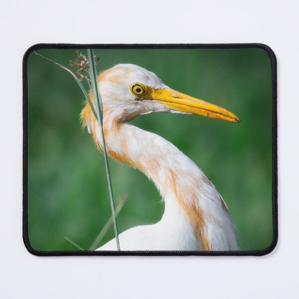 Item preview, White Heron in Grass, Elegant Wildlife and Nature Photography designed and sold by Shaheer-WallArt.