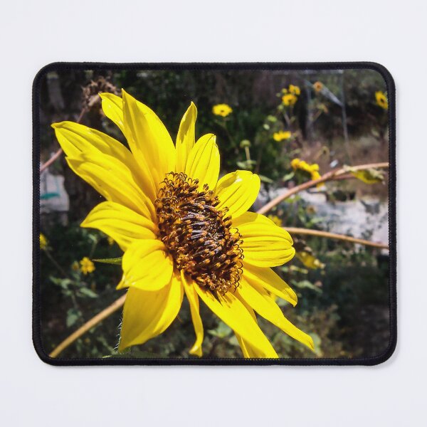 Item preview, Canyon Sunflower designed and sold by Douglas E. Welch Design and Photography.