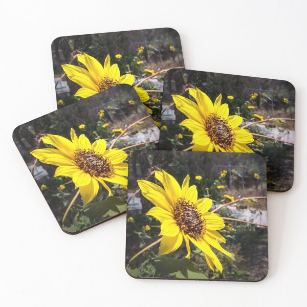 Item preview, Canyon Sunflower designed and sold by Douglas E. Welch Design and Photography.